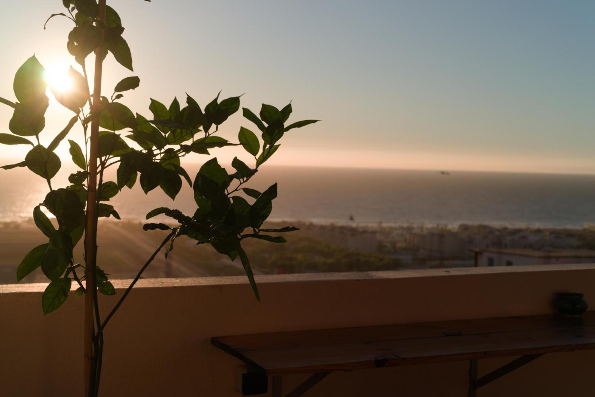 Monkey'S Guest House - Ocean View Rooms & Apartment With Rooftop Tamraght Exterior photo